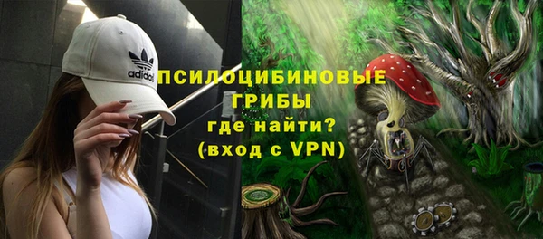 ешки Белокуриха