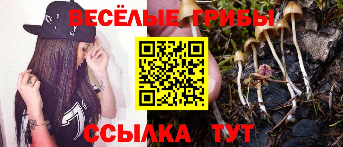 Бутурлиновка  Псилоцибиновые грибы ЛСД  Вход с VPN 