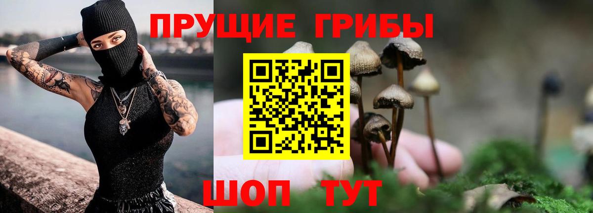 Галлюциногенные грибы Psilocybine cubensis Бутурлиновка